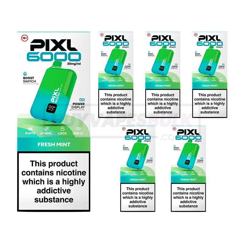 Fresh Mint Pixl 6000 Puff Disposable Vape 5 Pack